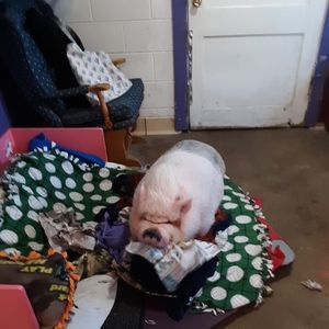 Meet your Posher, Deborah